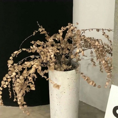 涉县FurryQQ群介绍